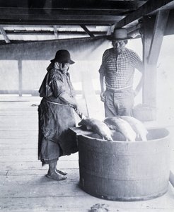 Indian Salmon Cleaner, niedaleko New Westminster, Kolumbia Brytyjska (Prowincja Kanady)