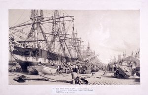 West India Docks, Topola, Londyn, 1830 autorstwa William Parrott