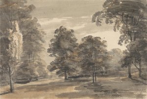 Polana w lesie autorstwa William Pars