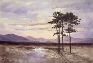 Sunset, County Sligo (akwarela na papierze) autorstwa William Percy French