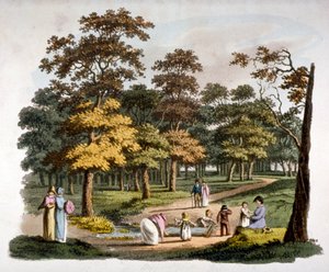 Widok studni „zanurzającej” w Hyde Parku, Westminster, Londyn, ok. 1810 r.