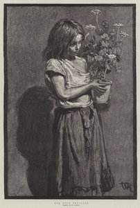 Jej jedyny skarb autorstwa William Rainey