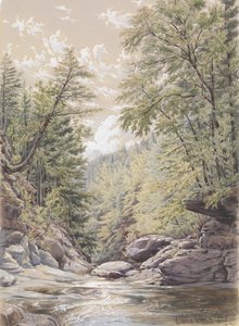 Ząbek Catskill w Palingsville, 1856.