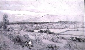 Scena żniwa