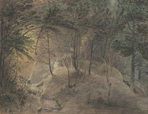 Widok ze Źródełka w Echo, ok. 1808 (akwarela i tusz na papierze tkanym)