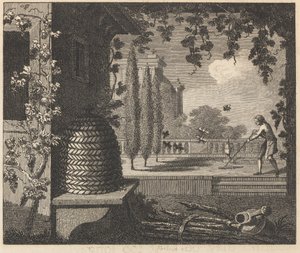 Zdegenerowane pszczoły autorstwa William Skelton