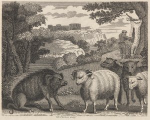 polish autorstwa William Skelton