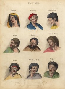 Pasje z fizjonomii autorstwa William Smellie