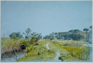  autorstwa William Stanley Haseltine