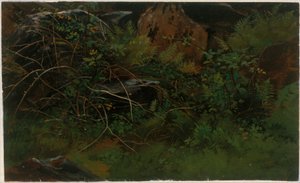  autorstwa William Stanley Haseltine