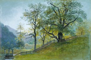 Vahrn w Tyrolu niedaleko Brixen. autorstwa William Stanley Haseltine