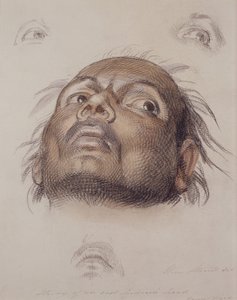 Studium głowy wschodniego Indianina, ok. 1875 (kredka i farba na papierze) autorstwa William Strutt