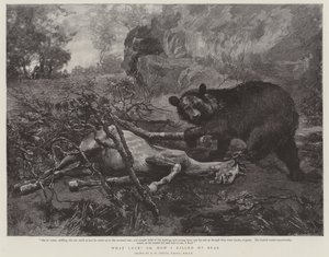 Co za szczęście! lub jak zabiłem mojego niedźwiedzia autorstwa William Strutt