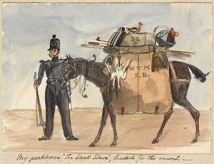 Mój koń juczny, czarny niewolnik, załadowany do marszu, ok. 1854 r. (akwarela i ołówek na papierze)