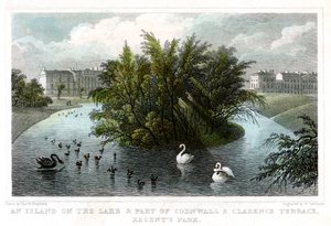 Wyspa na jeziorze i część Cornwall and Clarence Terraces, Regents Park, Londyn, 1828. autorstwa William Tombleson