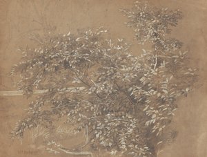 Listowie autorstwa William Trost Richards