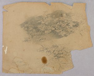 Badanie liści autorstwa William Trost Richards