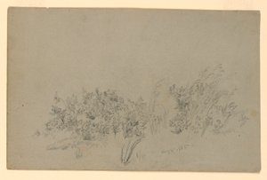 Badanie liści autorstwa William Trost Richards