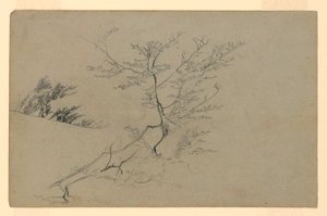 Badanie liści autorstwa William Trost Richards