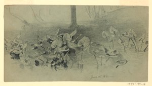 Badanie liści autorstwa William Trost Richards