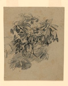 Badanie liści autorstwa William Trost Richards