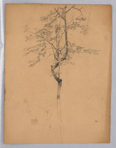 Badanie liści autorstwa William Trost Richards