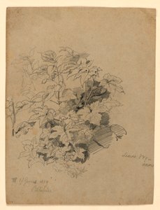 Badanie liści autorstwa William Trost Richards
