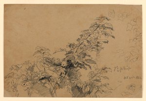 Badanie liści autorstwa William Trost Richards