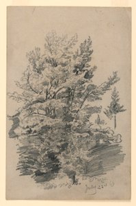 Badanie liści autorstwa William Trost Richards