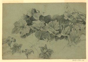 Badanie liści autorstwa William Trost Richards