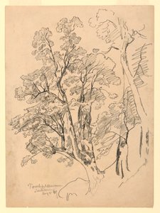 Badanie listowia, Trachselwald, Berno, Szwajcaria autorstwa William Trost Richards