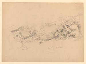 Badanie listowia, Trachselwald, Berno, Szwajcaria autorstwa William Trost Richards