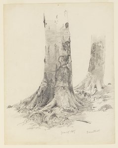 Pnie Drzew, Darmstadt autorstwa William Trost Richards