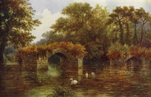 Rzeka Avon, Zamek Warwick (kolor lito)