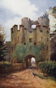 Zamek Warwick: Most zwodzony i Portcullis (kolor lito)
