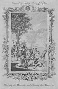 Zamordowanie druidów i spalenie ich gajów, 1773.