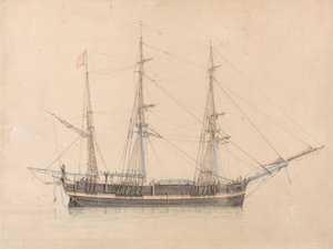 Wielorybnik „Truelove” z Hull autorstwa William Ward