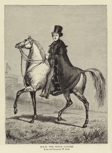 H R H Książę Konsort autorstwa William Wolfe Alais
