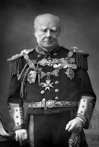 Admirał floty Sir Henry Keppel 1809-1904, 1893. autorstwa William and Daniel Downey