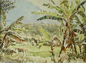 740 drzew bananowych, Ramboda autorstwa Wilson Clive