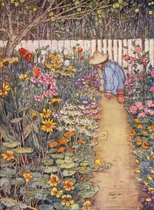 Dziecięca książka ogrodnicza: A Herbaceous Border (kolorowa litografia)