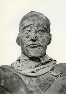 Głowa mumii Ramzesa III, starożytnego egipskiego faraona XX dynastii, c1156 pne 1926 autorstwa Winifred Mabel Brunton