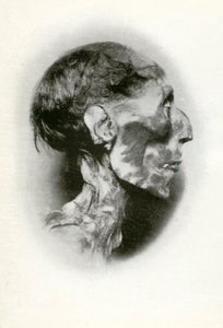 Głowa mumii Ramzesa II, starożytnego egipskiego faraona z XIX dynastii, ok. 1212 r. p.n.e. 1926.