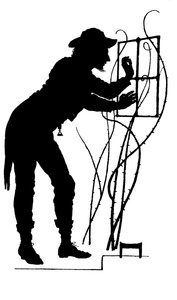 Ilustracja do The Courtin