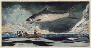 Ładny basen, rzeka Saguenay autorstwa Winslow Homer