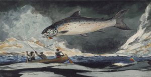 Dobry basen, rzeka Saguenay, 1895 autorstwa Winslow Homer
