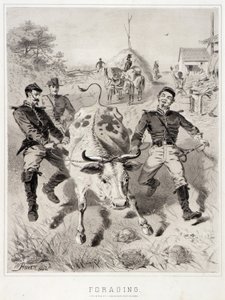 Szkice kampanii: Żerowanie autorstwa Winslow Homer