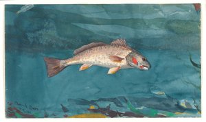  autorstwa Winslow Homer