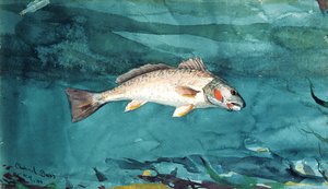 Kanał basowy autorstwa Winslow Homer