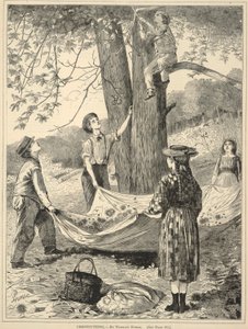 Chestnutting, z Every Saturday: An Illustrated Journal of Choice Reading, 29 października 1870 r. autorstwa Winslow Homer